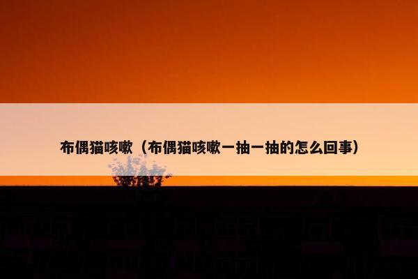 布偶猫咳嗽（布偶猫咳嗽一抽一抽的怎么回事）