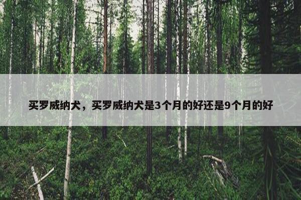 买罗威纳犬，买罗威纳犬是3个月的好还是9个月的好