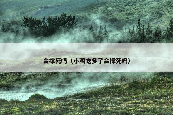 会撑死吗（小鸡吃多了会撑死吗）