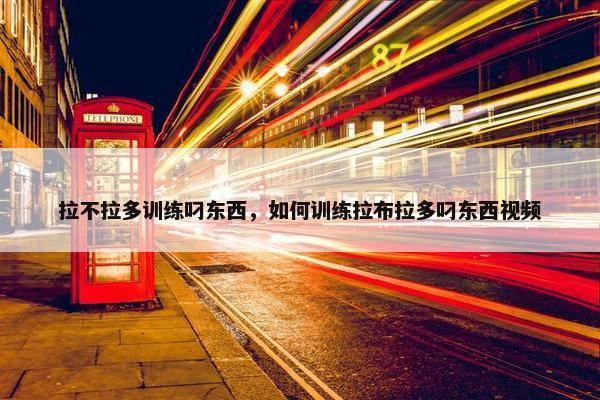 拉不拉多训练叼东西，如何训练拉布拉多叼东西视频