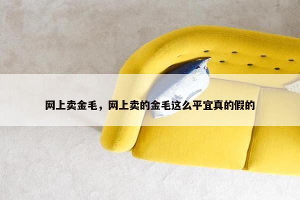 网上卖金毛，网上卖的金毛这么平宜真的假的