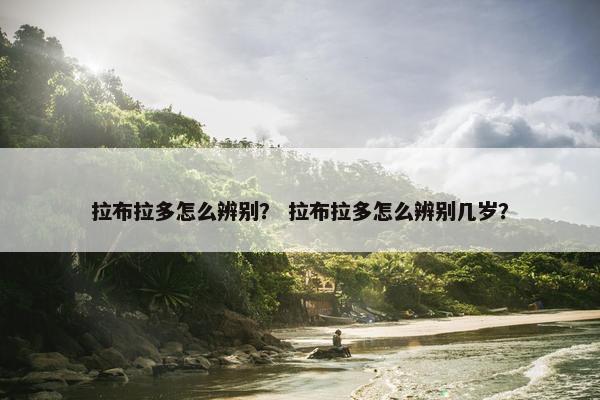 拉布拉多怎么辨别？ 拉布拉多怎么辨别几岁？