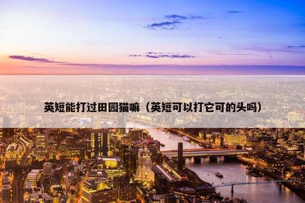 英短能打过田园猫嘛（英短可以打它可的头吗）