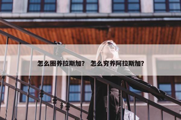 怎么圈养拉斯加？ 怎么穷养阿拉斯加？
