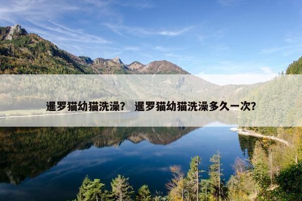 暹罗猫幼猫洗澡？ 暹罗猫幼猫洗澡多久一次？