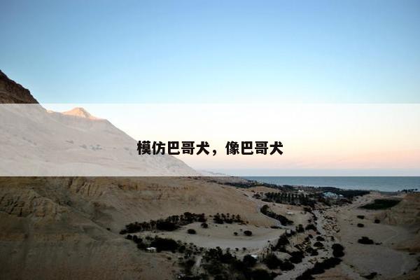 模仿巴哥犬，像巴哥犬