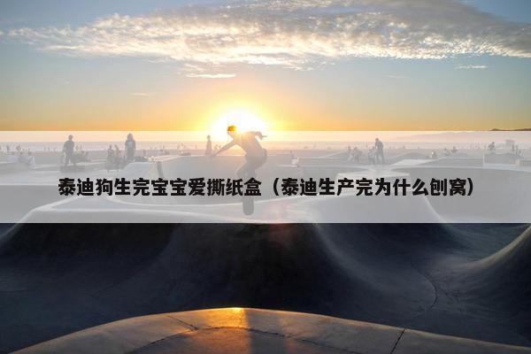 泰迪狗生完宝宝爱撕纸盒（泰迪生产完为什么刨窝）