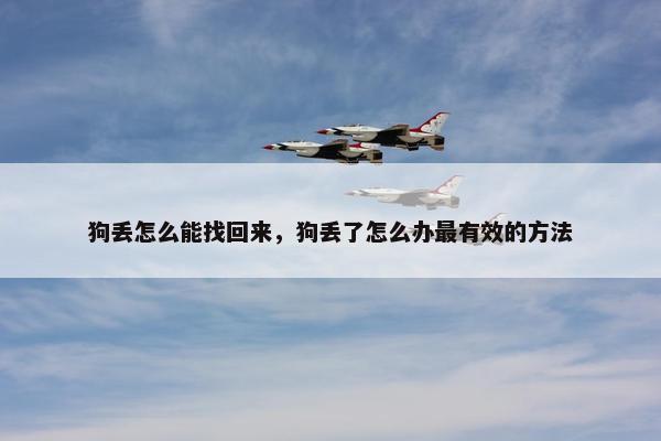 狗丢怎么能找回来，狗丢了怎么办最有效的方法
