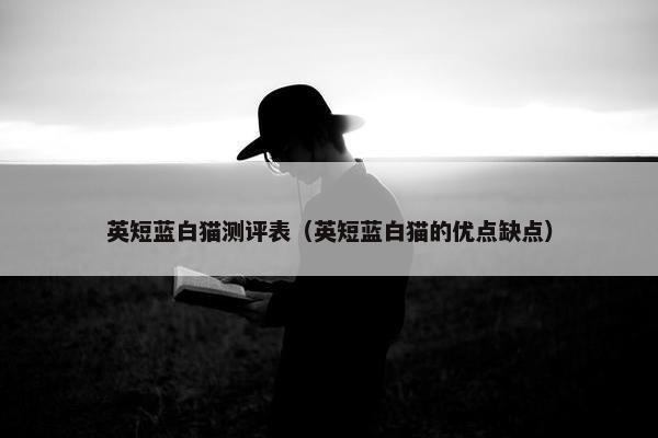 英短蓝白猫测评表（英短蓝白猫的优点缺点）