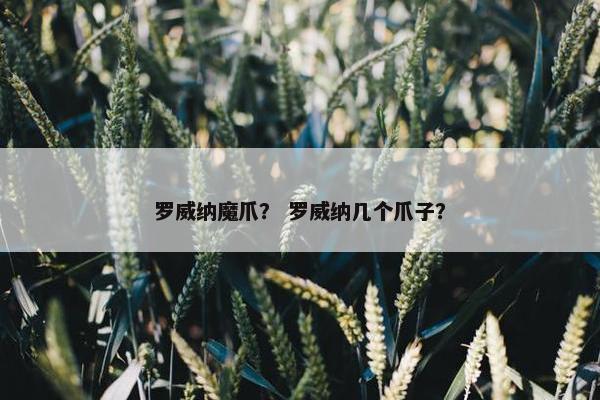 罗威纳魔爪？ 罗威纳几个爪子？