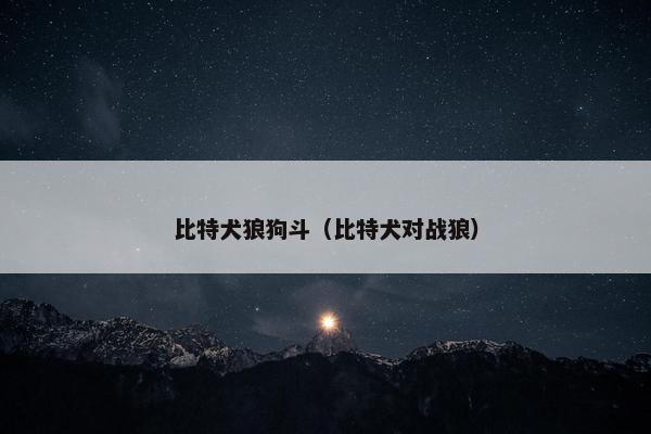 比特犬狼狗斗（比特犬对战狼）