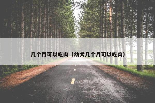 几个月可以吃肉（幼犬几个月可以吃肉）