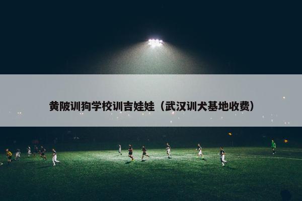 黄陂训狗学校训吉娃娃（武汉训犬基地收费）