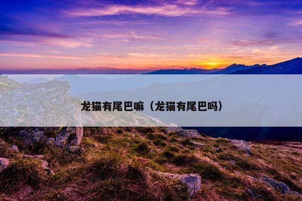 龙猫有尾巴嘛（龙猫有尾巴吗）