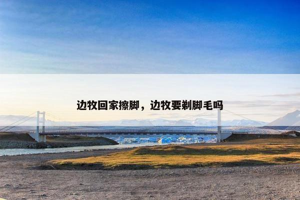 边牧回家擦脚，边牧要剃脚毛吗