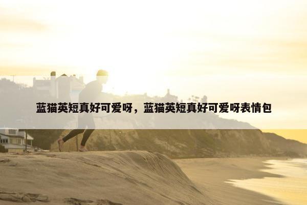 蓝猫英短真好可爱呀，蓝猫英短真好可爱呀表情包