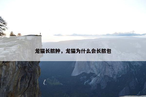 龙猫长脓肿，龙猫为什么会长脓包
