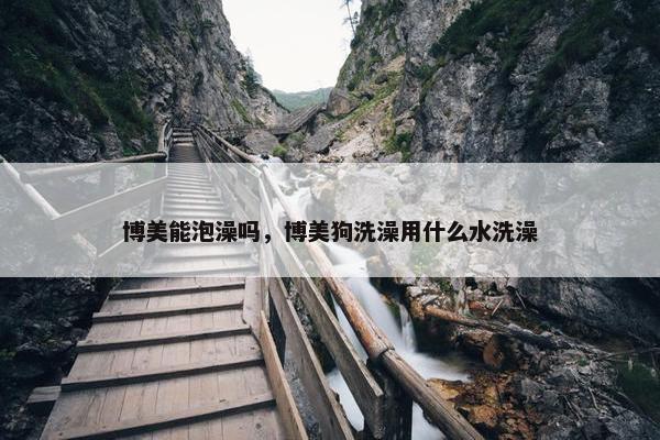 博美能泡澡吗，博美狗洗澡用什么水洗澡