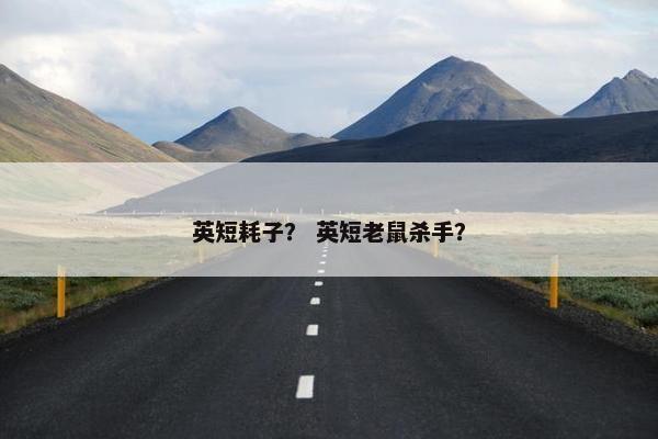 英短耗子？ 英短老鼠杀手？