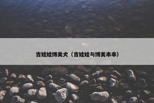 吉娃娃博美犬（吉娃娃与博美串串）