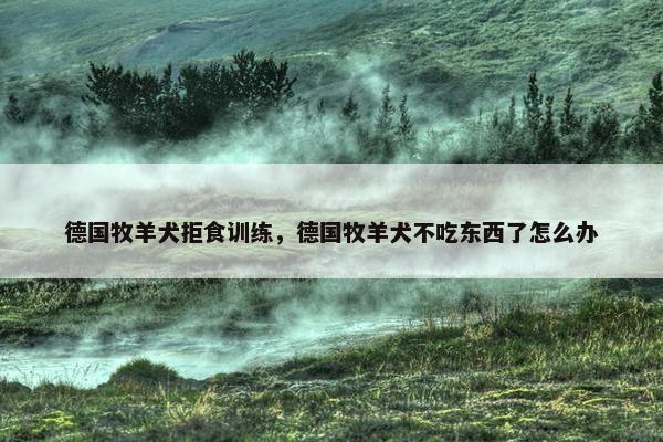 德国牧羊犬拒食训练，德国牧羊犬不吃东西了怎么办