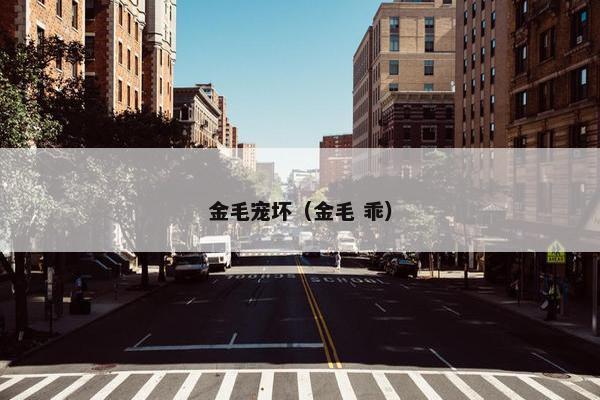 金毛宠坏（金毛 乖）