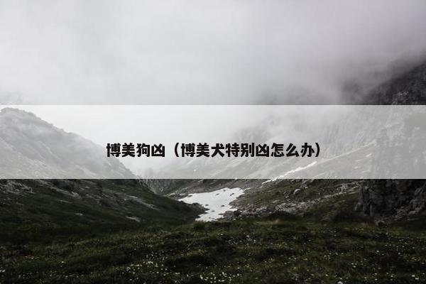 博美狗凶（博美犬特别凶怎么办）