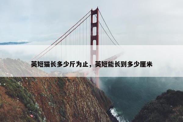 英短猫长多少斤为止，英短能长到多少厘米