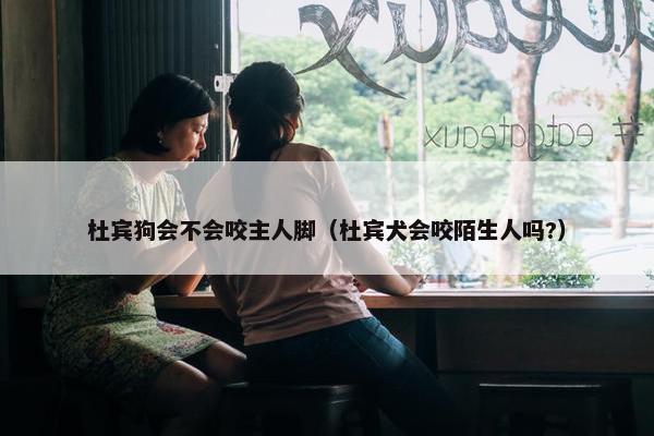 杜宾狗会不会咬主人脚（杜宾犬会咬陌生人吗?）