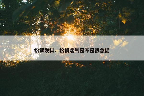 松狮发抖，松狮喘气是不是很急促