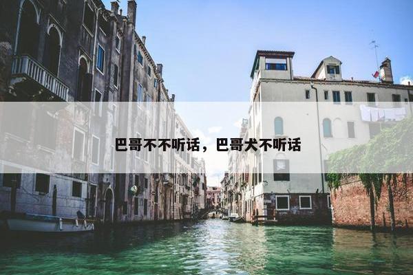 巴哥不不听话，巴哥犬不听话
