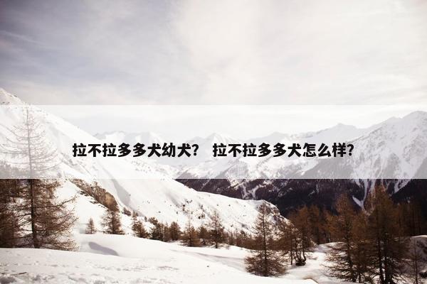 拉不拉多多犬幼犬？ 拉不拉多多犬怎么样？
