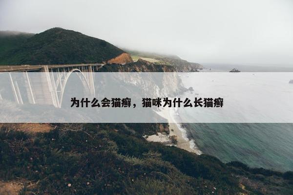 为什么会猫癣，猫咪为什么长猫癣
