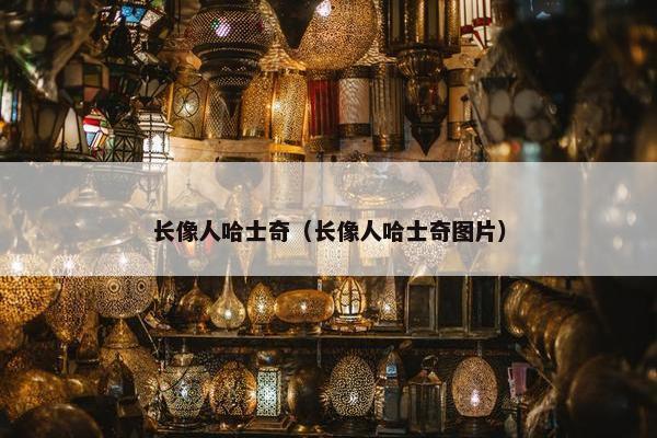 长像人哈士奇（长像人哈士奇图片）