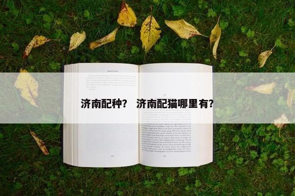 济南配种？ 济南配猫哪里有？