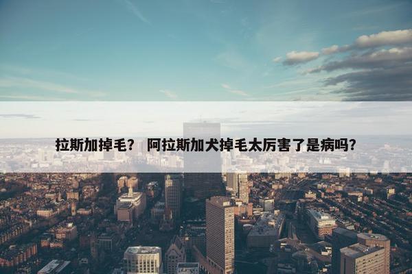 拉斯加掉毛？ 阿拉斯加犬掉毛太厉害了是病吗？
