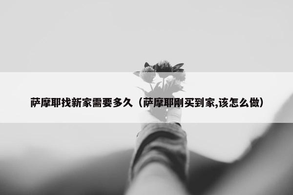 萨摩耶找新家需要多久（萨摩耶刚买到家,该怎么做）