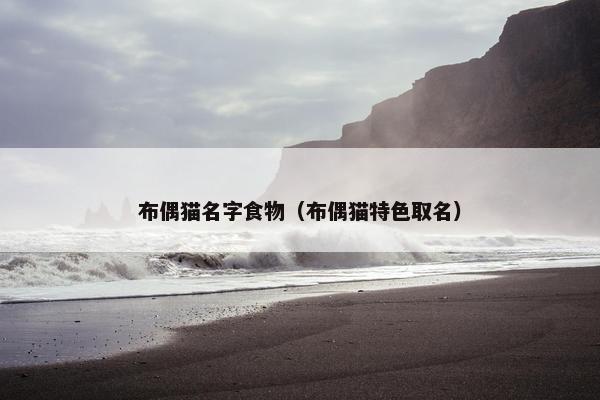 布偶猫名字食物（布偶猫特色取名）