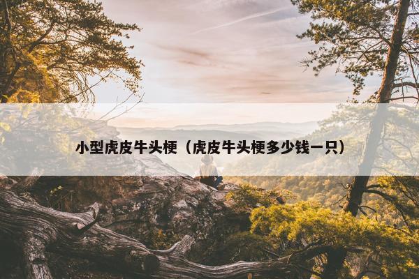 小型虎皮牛头梗（虎皮牛头梗多少钱一只）