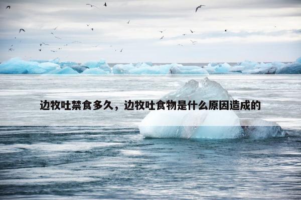 边牧吐禁食多久，边牧吐食物是什么原因造成的
