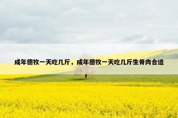成年德牧一天吃几斤，成年德牧一天吃几斤生骨肉合适
