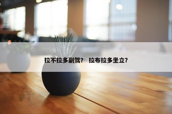 拉不拉多副驾？ 拉布拉多坐立？