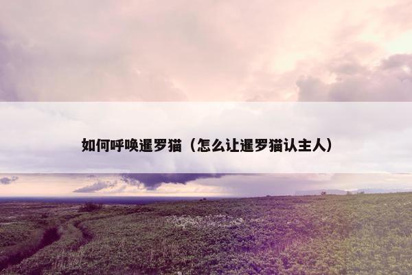 如何呼唤暹罗猫（怎么让暹罗猫认主人）