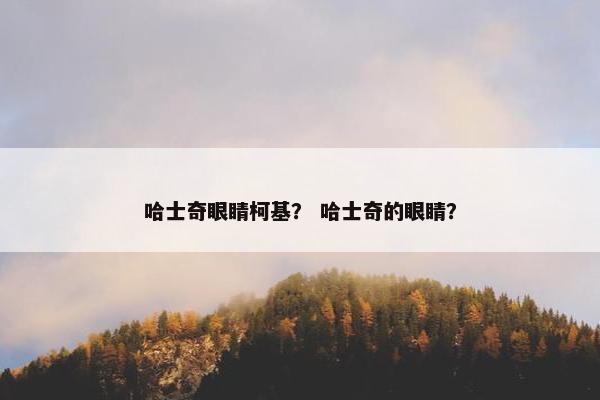 哈士奇眼睛柯基？ 哈士奇的眼睛？