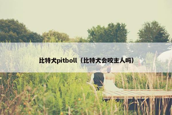 比特犬pitboll（比特犬会咬主人吗）