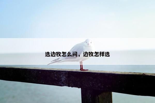 选边牧怎么问，边牧怎样选