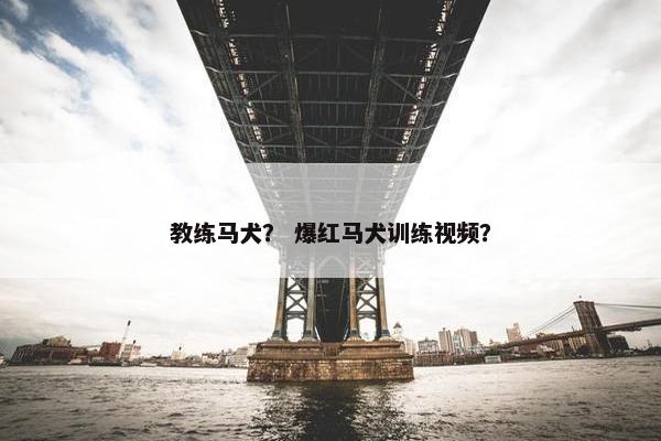 教练马犬？ 爆红马犬训练视频？