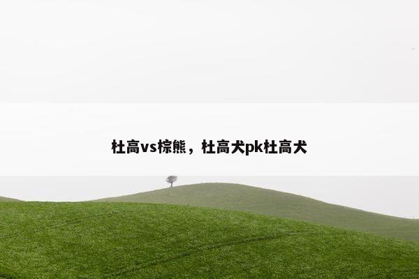 杜高vs棕熊，杜高犬pk杜高犬