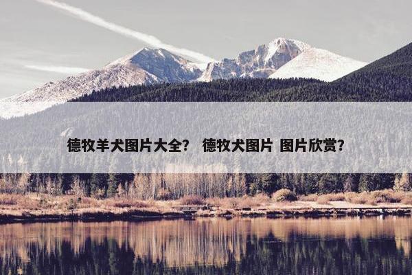德牧羊犬图片大全？ 德牧犬图片 图片欣赏？