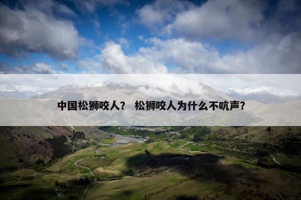 中国松狮咬人？ 松狮咬人为什么不吭声？